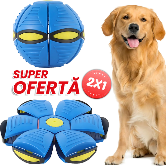 Minge Frisbee zburătoare 2x1